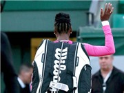 Venus Williams lỡ Wimbledon vì chấn thương lưng